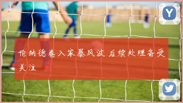 伦纳德卷入家暴风波 后续处理备受关注