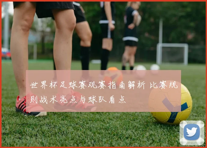 世界杯足球赛观赛指南解析 比赛规则战术亮点与球队看点