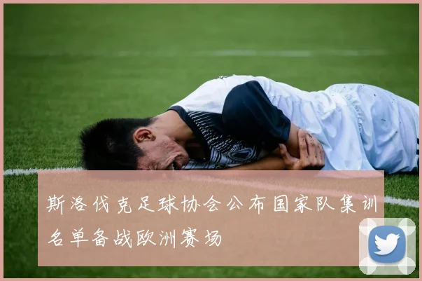 斯洛伐克足球协会公布国家队集训名单备战欧洲赛场