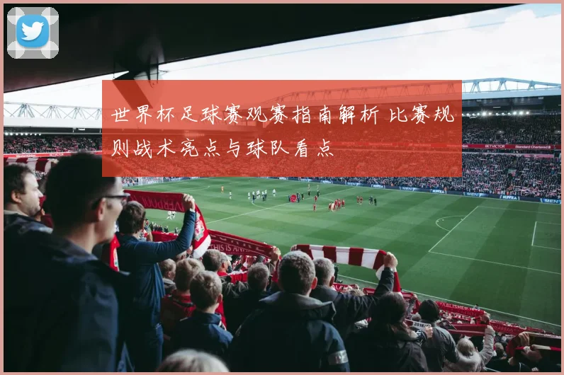 世界杯足球赛观赛指南解析 比赛规则战术亮点与球队看点