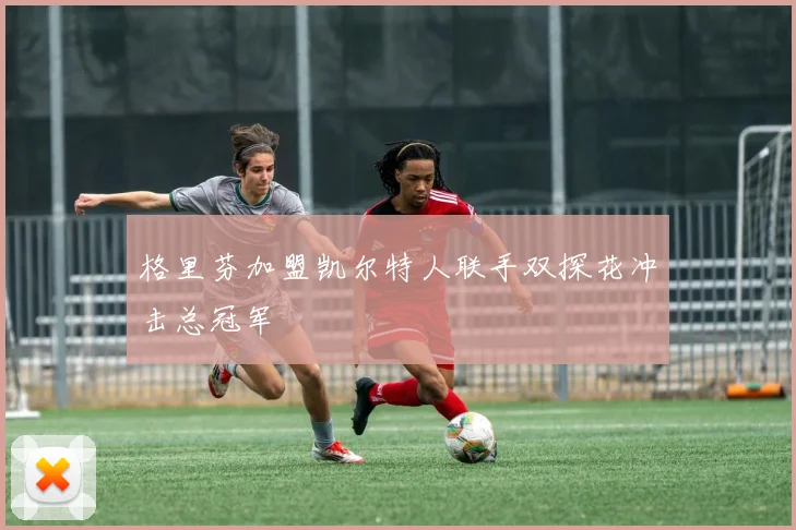 格里芬加盟凯尔特人联手双探花冲击总冠军