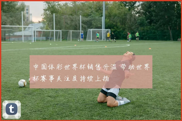 中国体彩世界杯销售升温 带动世界杯赛事关注度持续上扬