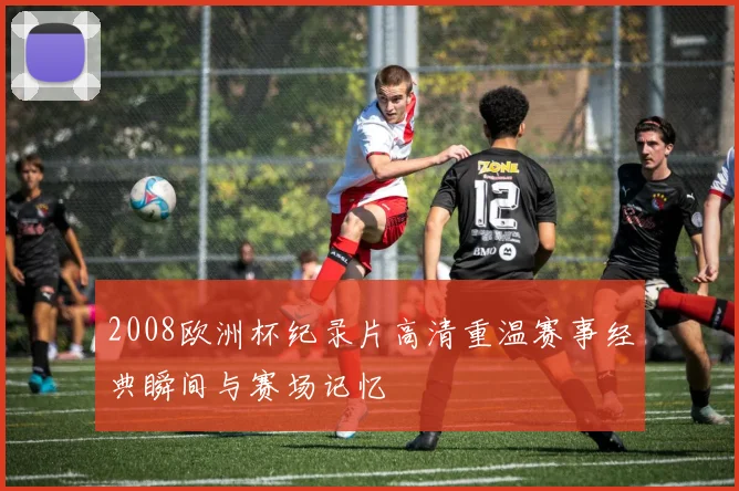 2008欧洲杯纪录片高清重温赛事经典瞬间与赛场记忆