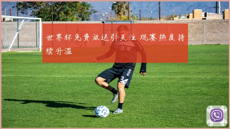 世界杯免费放送引关注 观赛热度持续升温