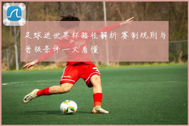 足球进世界杯路径解析 赛制规则与晋级条件一文看懂